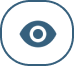 icon eye