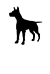 dogs and cat business in France